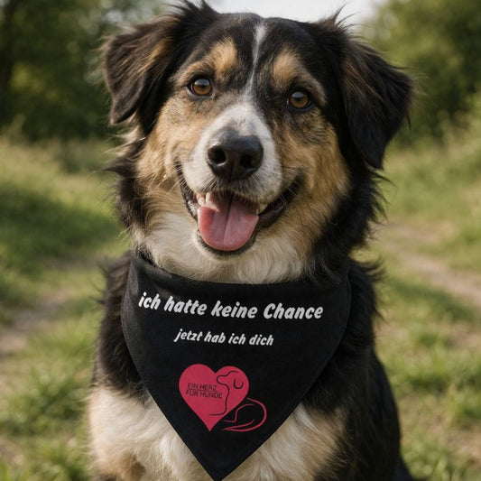 #Ankommen Hundehalstuch